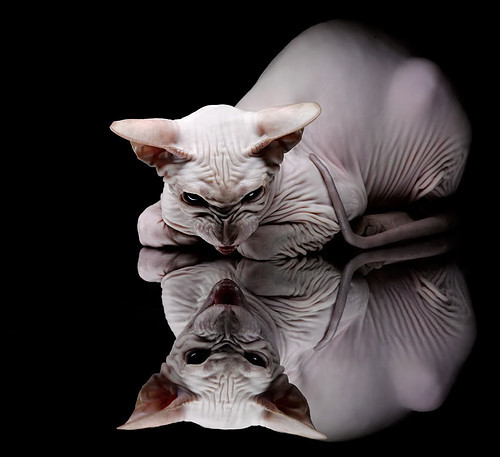 《直播热潮:百万观众在线观看电竞决赛》,电竞现场直播