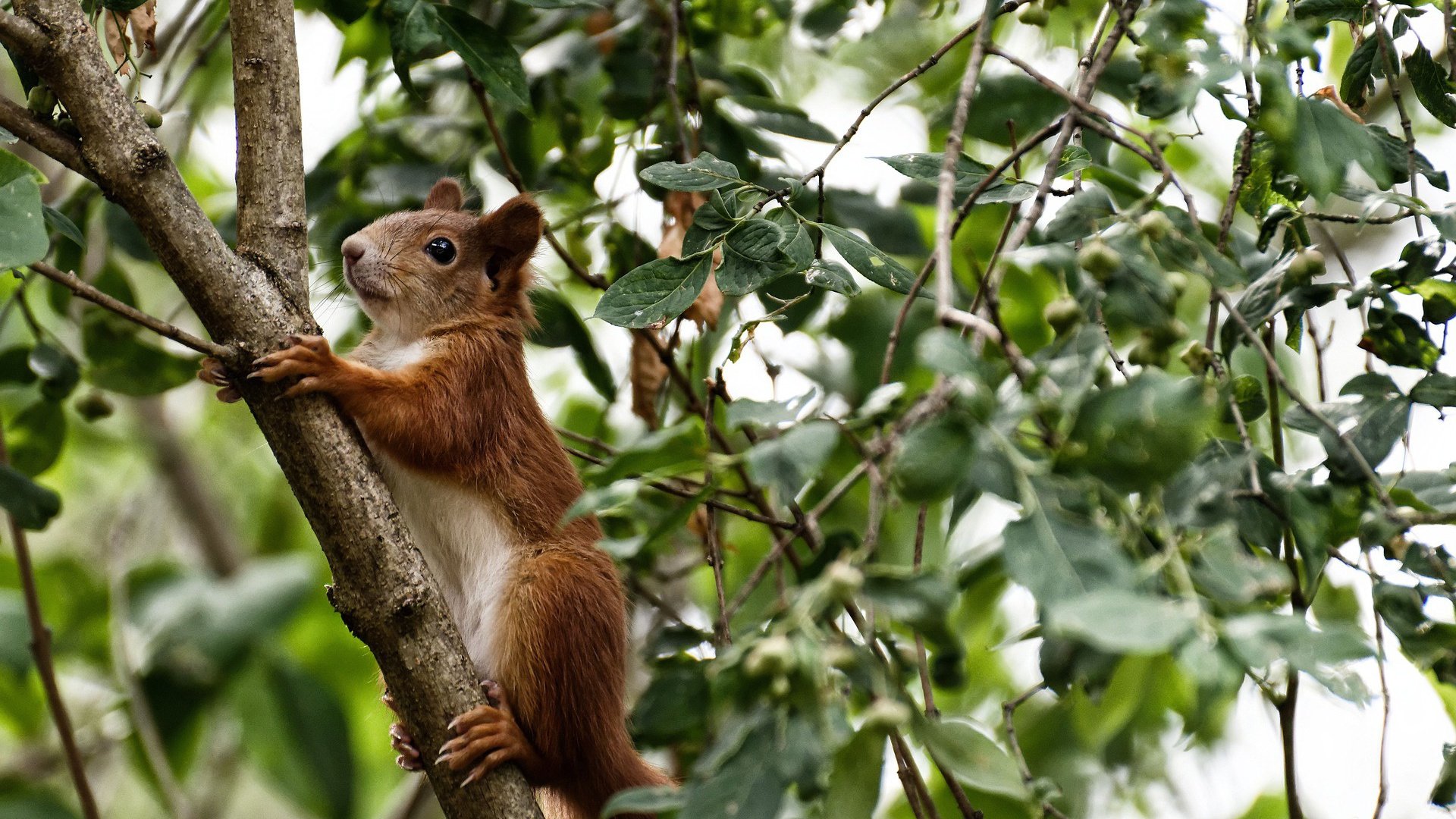 【运动员故事】马克·塞尔比:用坚韧铺就冠军道路,马克塞尔比训练
