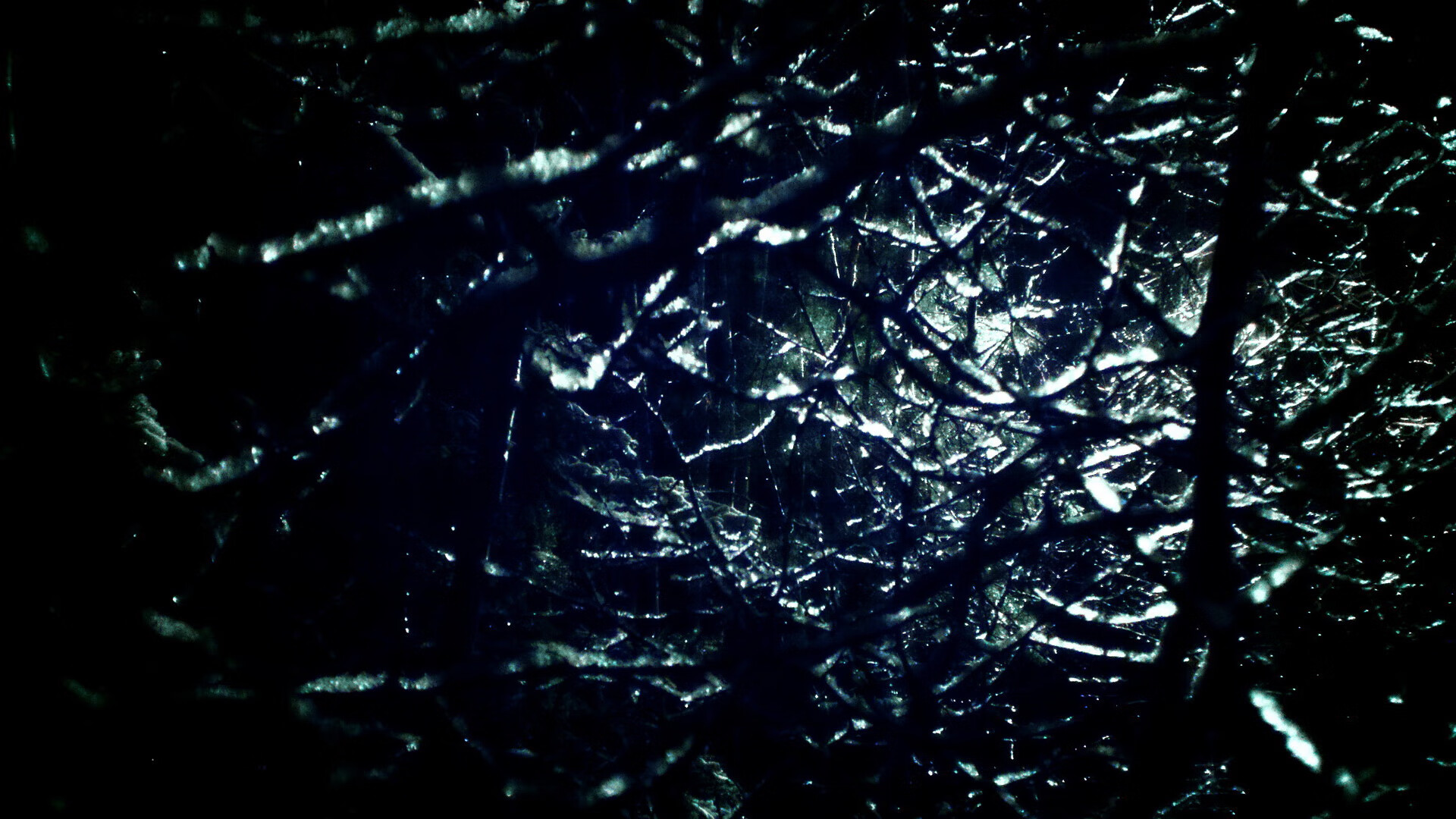 国际垒球赛,决胜时刻尽显团队默契,国际垒球赛,决胜时刻尽显团队默契