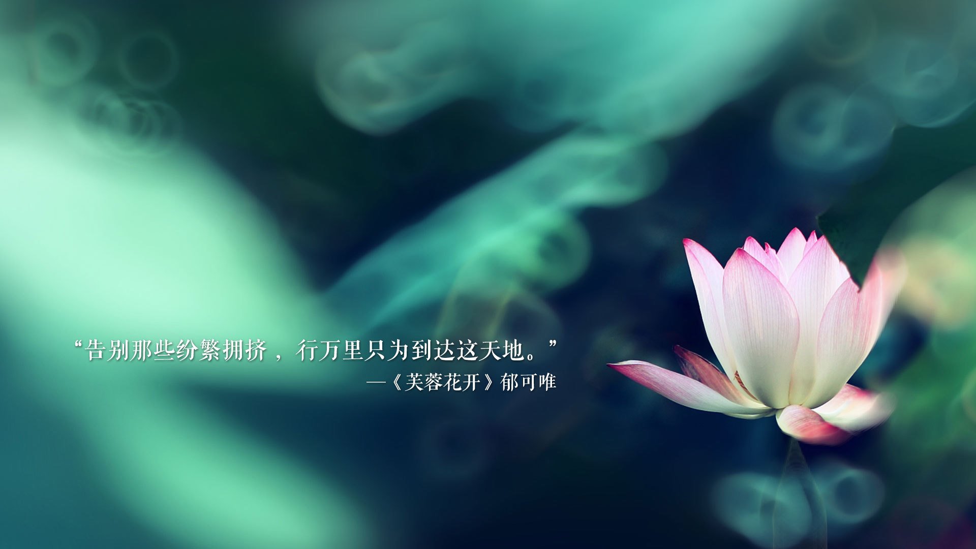 开云网址-_迷你网球杯：家庭趣味赛点亮夏日欢乐时光_，迷你网球场
