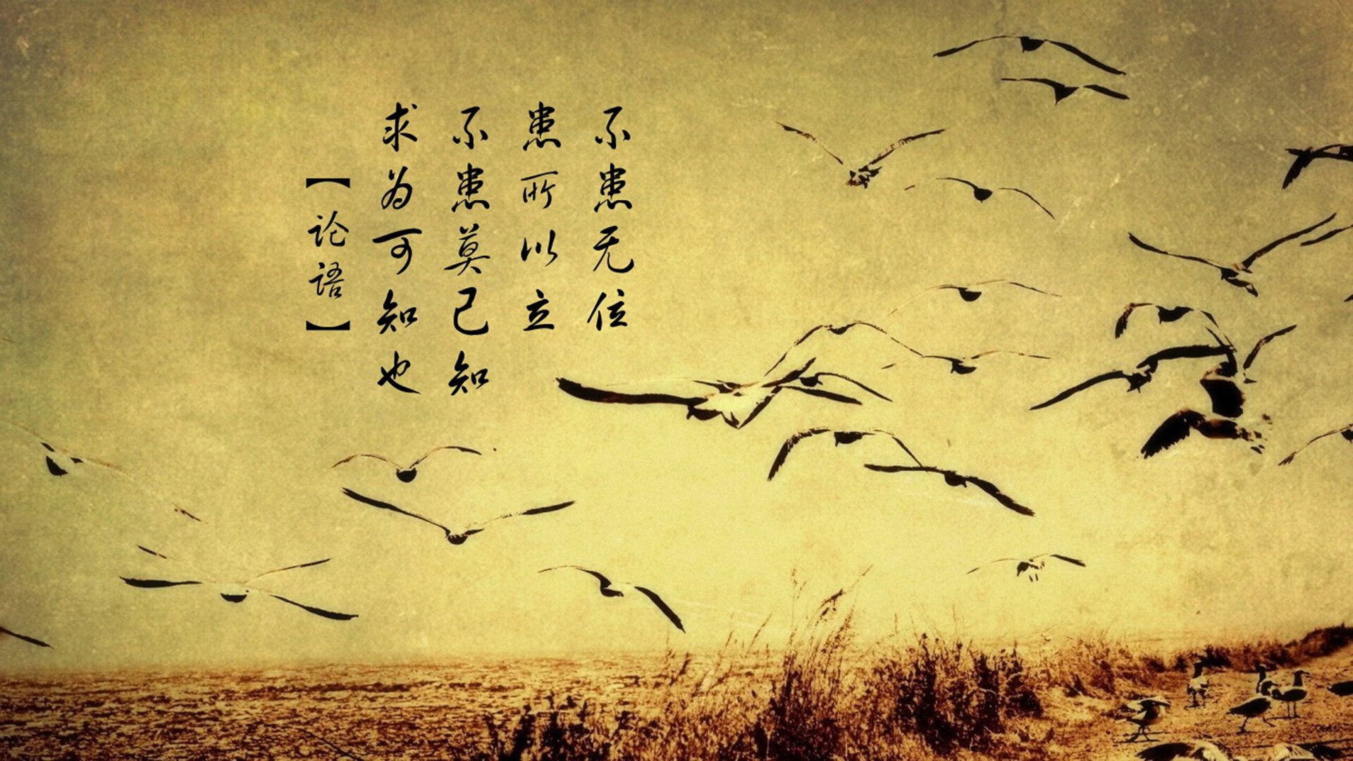 “篮球梦巡演”走进偏远乡村,点燃孩子们的运动热情,农村孩子的篮球梦